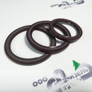 Сальник FPM VITON аналог  0042178